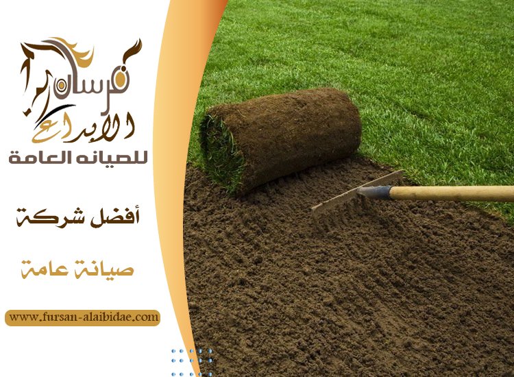 تركيب العشب الطبيعي في دبي