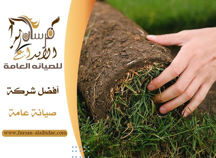 تركيب العشب الطبيعي في دبي